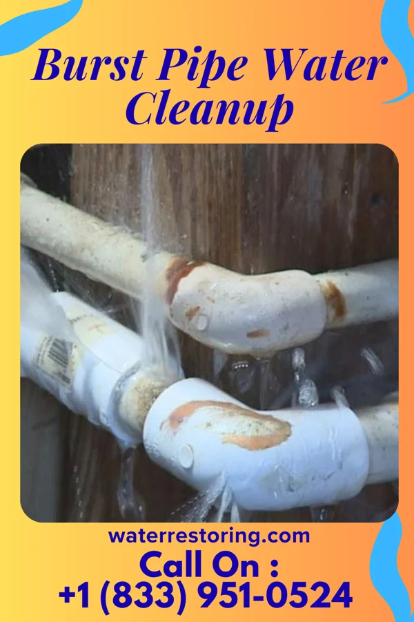 Burst Pipe Water Cleanup in Evansville, WY