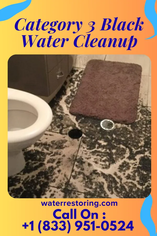 Category 3 Black Water Cleanup in Evansville, WY