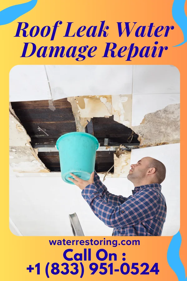 Roof Leak Water Damage Repair in Evansville, WY