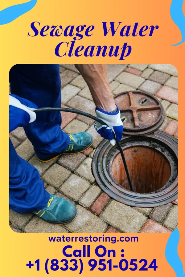 Sewage Water Cleanup in Evansville, WY