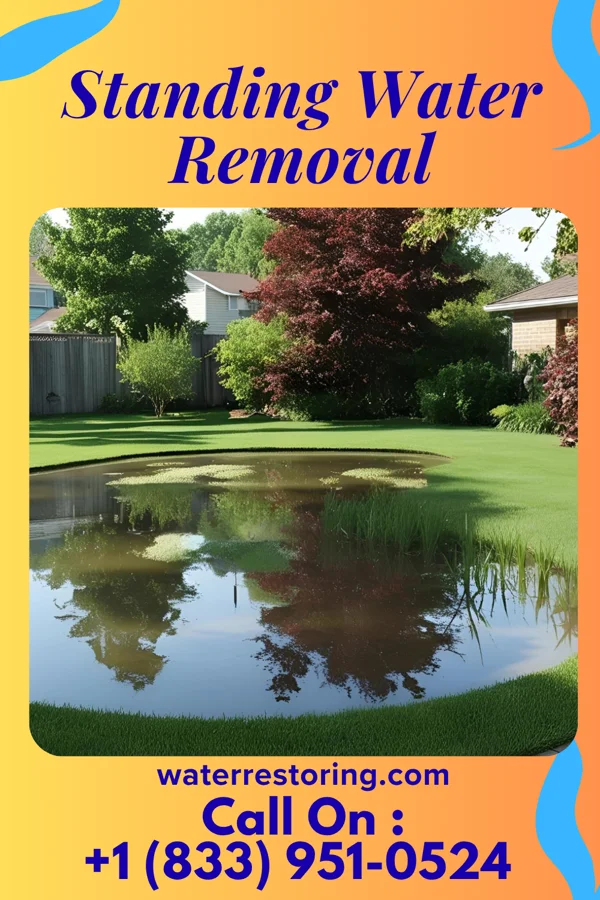 Standing Water Removal in Evansville, WY